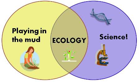 ecology.jpg